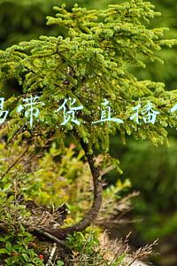 无锡有哪些直播公司(线上直播热潮来袭 揭秘无锡“素人”主播)