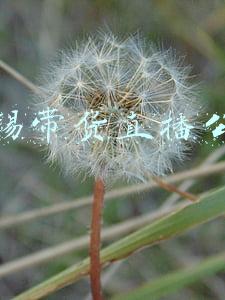 无锡货拉拉客服电话(丢件、货损、理赔难，货拉拉受B端用户指摘)