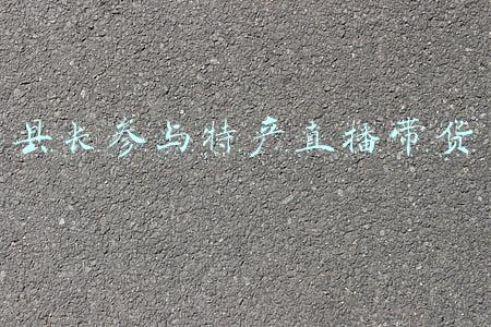 县长直播带货 人民网(县长直播带货的背后：互联网为农产品打通绿色通道)