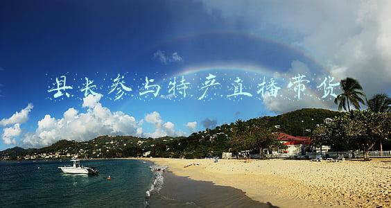 县长参与特产直播带货