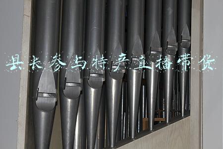 县长参与特产直播带货