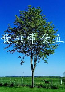 直播带货交流群(前央视一姐直播带货被群嘲，售卖物品被曝质量差，香薰曾引发火灾)