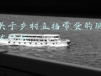 关于乡村直播带货的现状分析