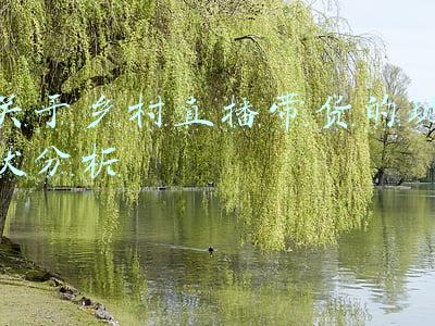 直播带货对农村经济的影响(月收入增长两三倍？农民直播带货叩开增收门)
