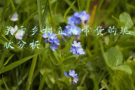 关于乡村直播带货的现状分析