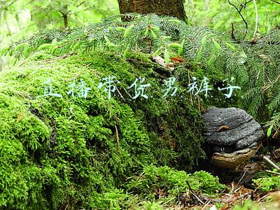 直播带货男裤子