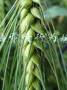 直播带货行为规范