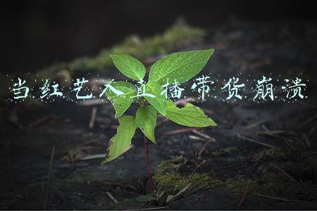 直播带货的爆红是必然的(直播带货能走多远关键看监管)