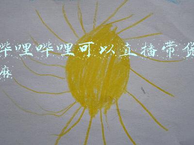 哔哩哔哩直播可以回放(透过直播镜头，享受品质文化生活)