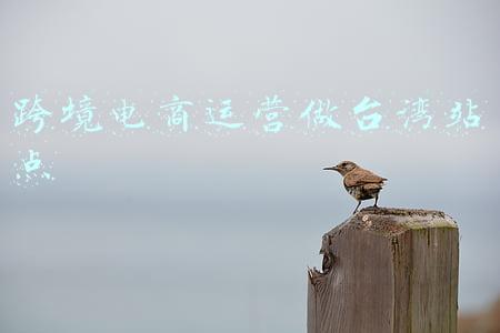 跨境电商运营做台湾站点