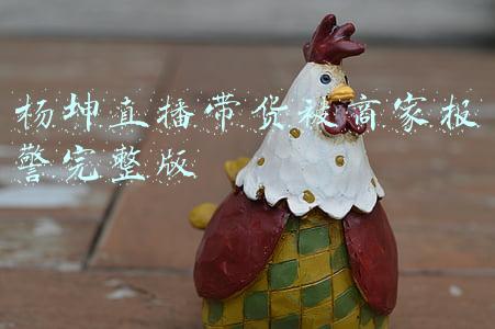 杨坤直播带货被商家报警完整版