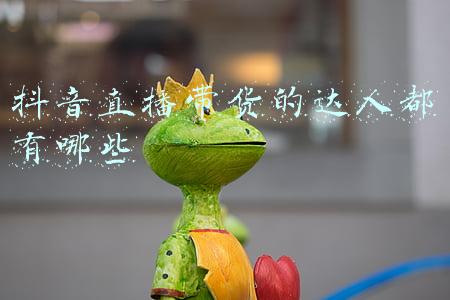 抖音直播带货谁最火(抖音直播电商12月榜单｜25位主播带货破亿，他们是如何做到的？)