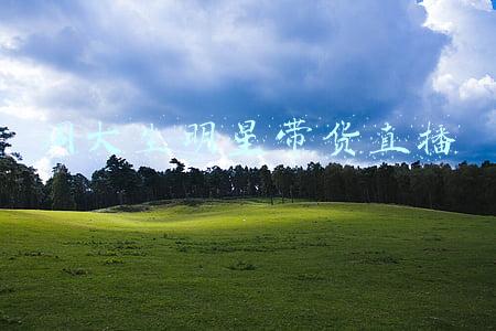 周大生明星带货直播