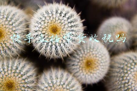 快手直播带货收税吗