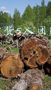 直播带货5人团队月收入 直播带货5人团队月收入