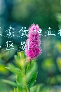直播间卖货顺口溜大全(鲁山农村赶会卖货顺口溜)
