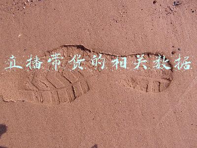 直播带货的相关数据