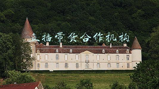 直播带货的合作模式有哪些(直播带货公司、直播带货有什么合作模式？)