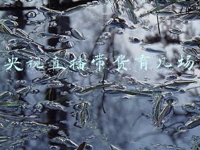 央视主播直播带货意义(路美观点：乡村直播对乡村振兴的意义何在？)