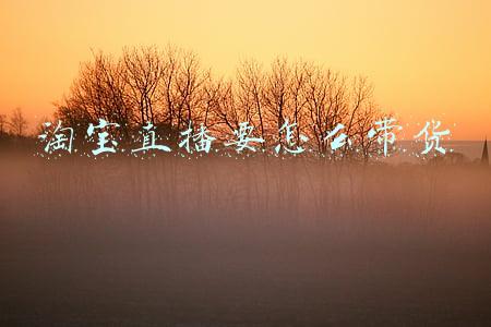 淘宝直播要怎么带货