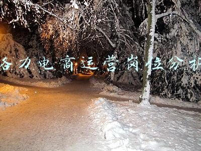 格力电商运营(“格力羽童精选”直播间，怎么就成了股东大会了？)