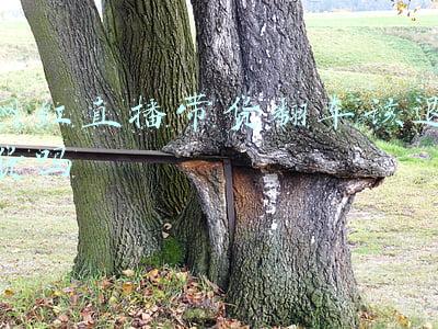 网红直播带货翻车该退货吗