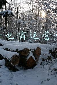 抖音市场副总裁(抖音副总裁支颖：未来会加大知识文化类内容的投入)