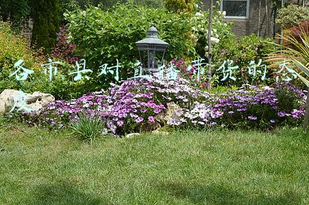 政府对直播带货(市场监管总局对直播带货平台开展行政指导 提出六点要求)