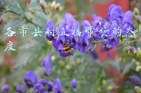 各市县对直播带货的态度