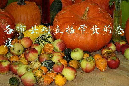中国市县招商网(抚顺县与中国市县招商网举行合作签约仪式)