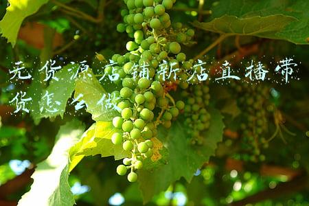 无货源店铺新店直播带货怎么做