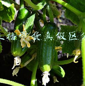 直播带货真的假的(千元大衣百元“甩卖”：数十直播间集体带货背后“真假”拉夏贝尔)