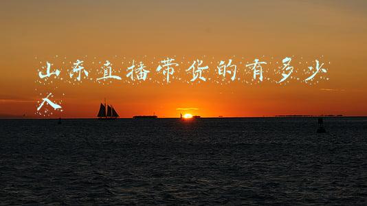 山东直播带货的有多少人