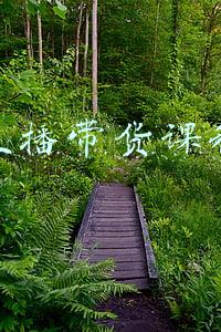 吾思ug设计全套课程(UG如何绘制一个鸟笼的三维模型，管道加阵列轻松搞定)