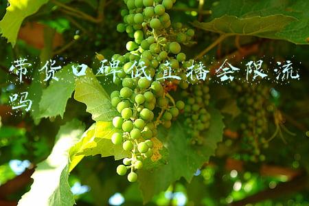 带货口碑低直播会限流吗