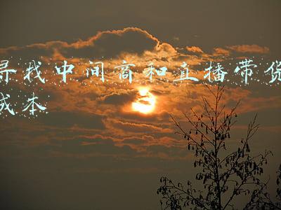 直播带货中间商怎么做(在电商和直播卖货的围剿下，中间商终将退出市场。创业该怎么创？)