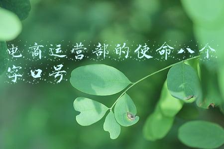 电商运营部的使命八个字口号