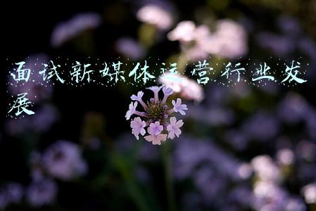 面试新媒体运营行业发展