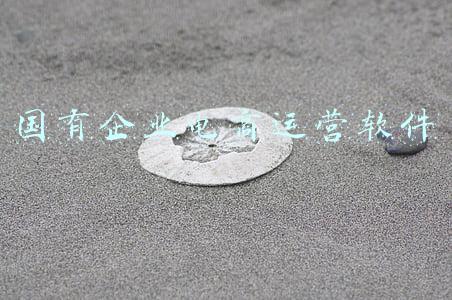 电子商务企业运营管理(如何设计商家入驻管理机制，驱动良性成长？)