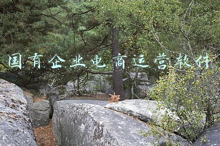 电商管理系统模块(5000字干货：产品经理必学之电商后台设计-库存模块)