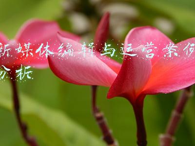 新媒体编辑与运营案例分析