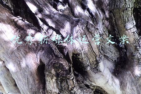 优秀新媒体运营文案