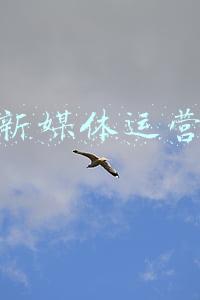 优秀新媒体账号(2021年度四川政务新媒体十佳账号及优秀典型案例揭晓)