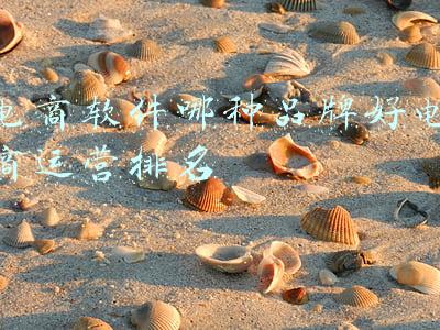 电商软件哪种品牌好电商运营排名