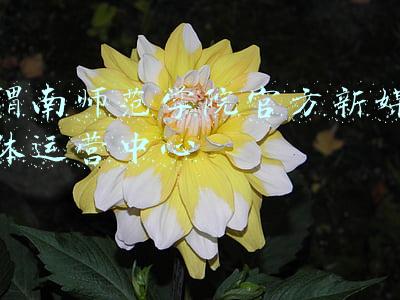 渭南师范学院官方新媒体运营中心