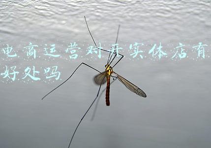 电商运营对开实体店有好处吗
