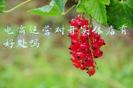 手动对开多叶调节阀(浅谈实验室洁净区的压差控制方法)