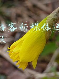 传智播客新媒体运营全套视频