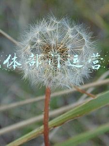 新媒体运营部门职能(新媒体运营工作是什么？这个门槛相对低的互联网岗位，值得关注)