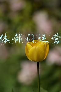 新媒体运营部门架构(全景式揭秘芒果超媒人员架构和财务模型)